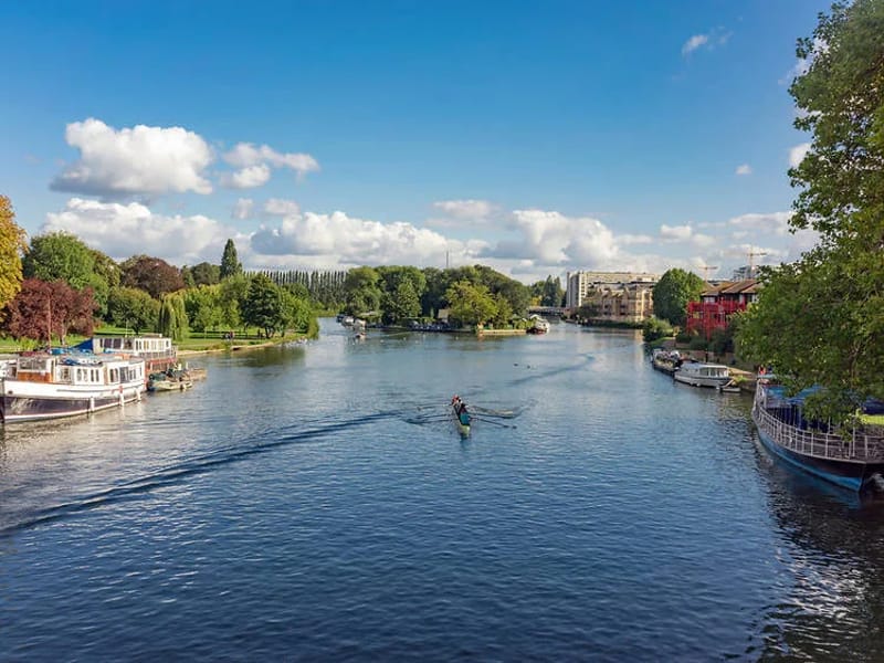 Marlow in Worthing, England photo 5
