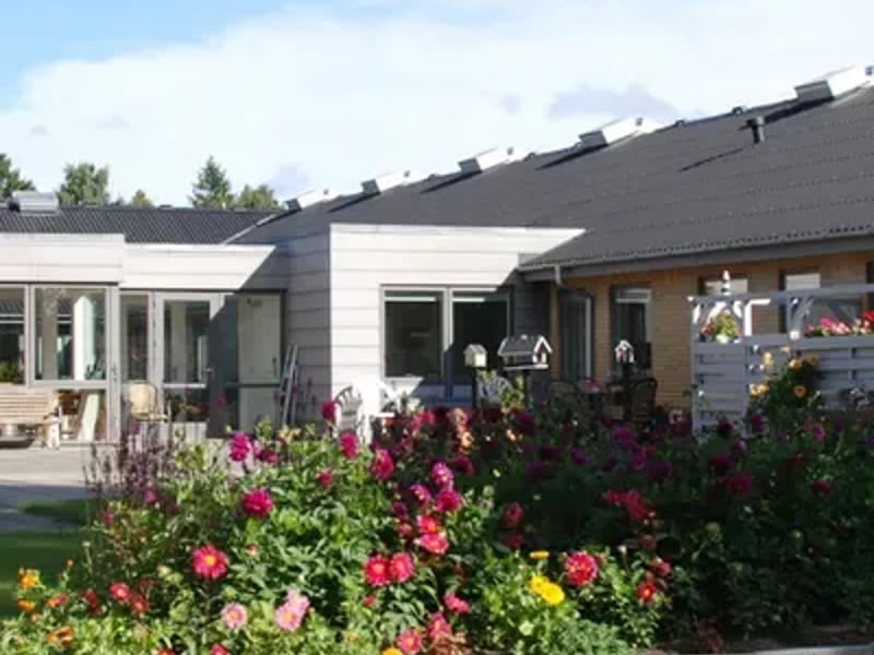 Plejecenter Tirsdalen - Plejehjem in Randers, Region Midtjylland photo 3