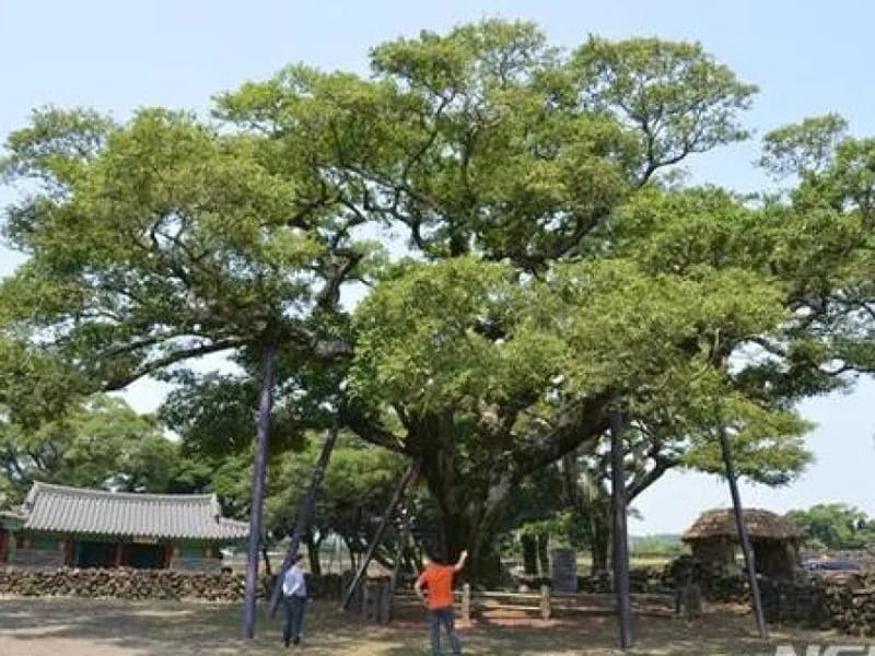 느티나무의료기 - 요양원 in 전주시, 전북특별자치도 photo 3