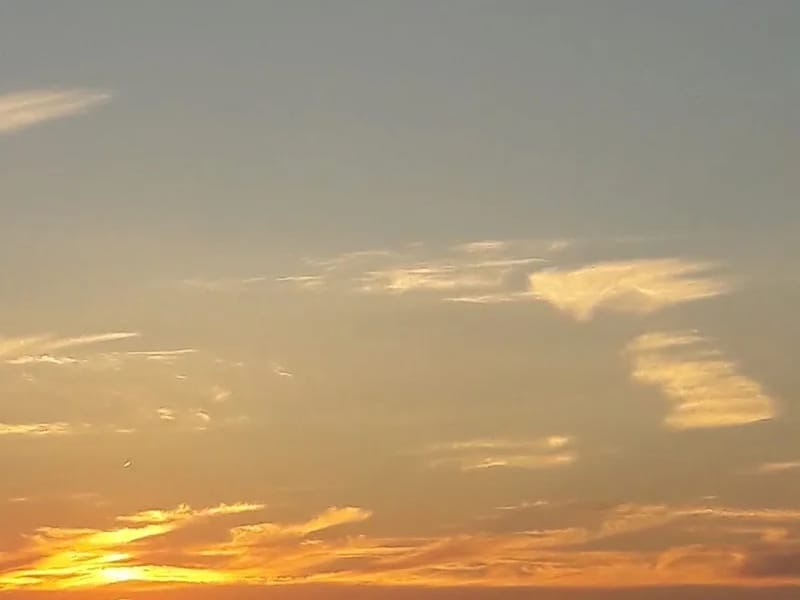 De Uiterton - Verpleeghuis in Lelystad, Flevoland photo 5