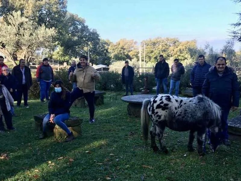 Centro Di Riabilitazione Villa Buon Respiro - Riabilitazione Ospedaliera in VITERBO, Lazio photo 3