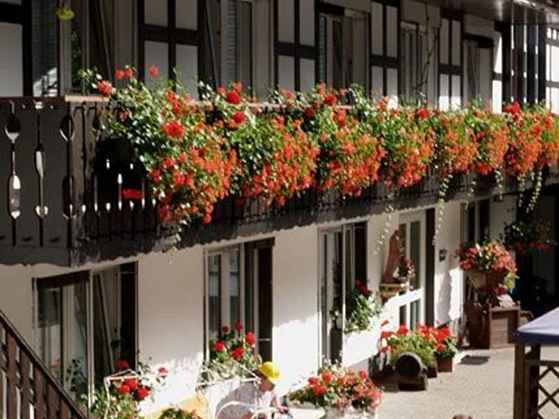 Alten- und Pflegeheim Haus Waldesruh - Pflegeheim in Winterberg, Nordrhein-Westfalen photo 2