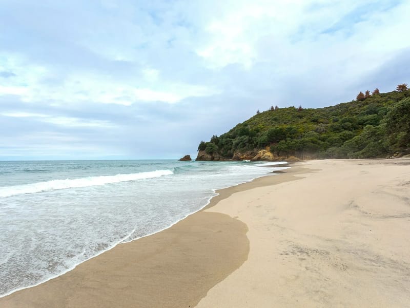 Waihi Lifecare - Nursing Home in Waihi, Waikato District Health Board photo 3