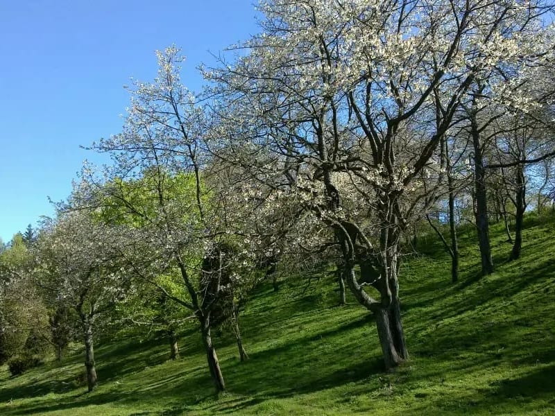 Veberöd - Hemtjänst in Lund, Skåne län photo 3