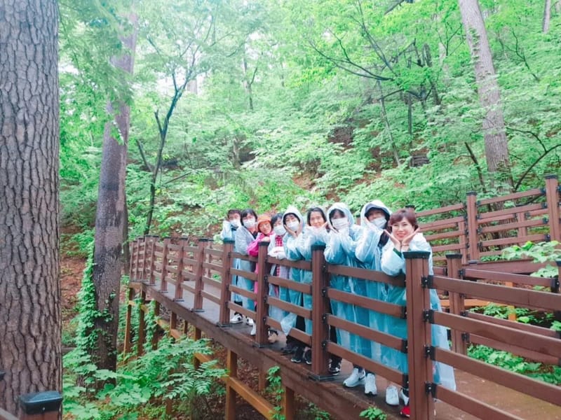 강릉자활종합돌봄센터 - 요양원 in 강릉시, 강원특별자치도 photo 2