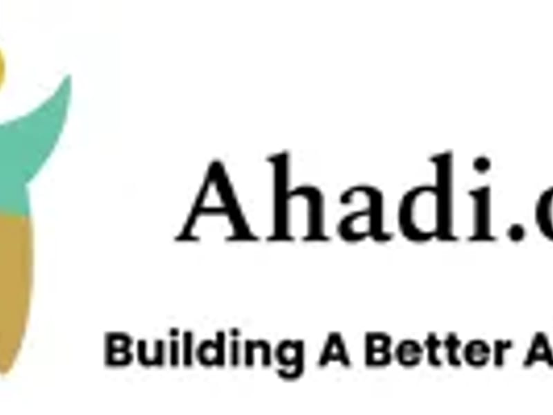 Ahadi Community Services - Geriatric Care Management in St Michael, MN photo 3