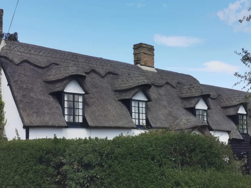 Box Tree Cottage Residential Home - Assisted Living in Cambridge, England photo 2