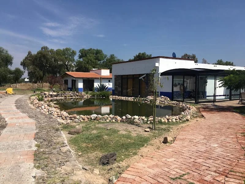 CASA HOGAR PARA ADULTOS MAYORES - Vida Asistida in Celaya, Guanajuato photo 7