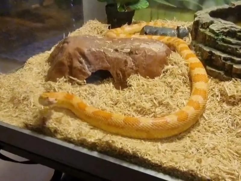 Berggården - Äldreboende in Finspång, Östergötlands län photo 2