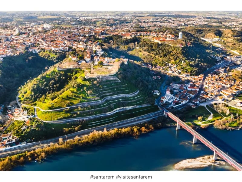 CONSULTA SANTAREM - Cuidado Domiciliar in Santarém, PA photo 3