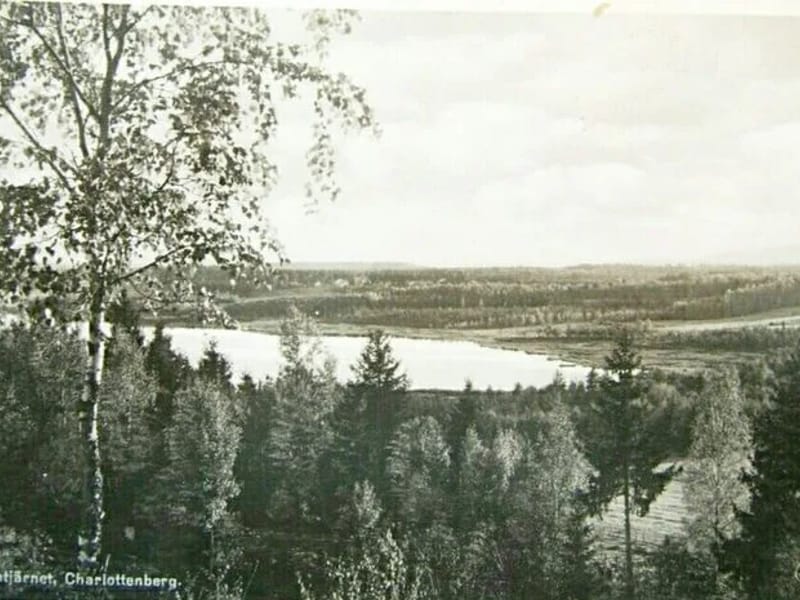 Hemtjänsten Charlottenberg - Hemtjänst in Eda, Varmland County photo 1