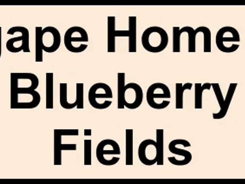 Agape Home At Blueberry Fields - Assisted Living in Fruitport, MI photo 2