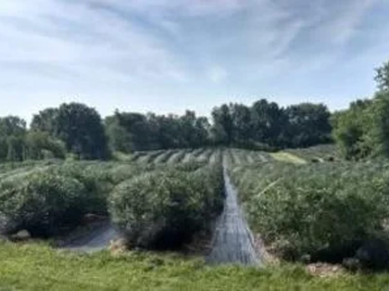 Agape Home At Blueberry Fields - Assisted Living in Fruitport, MI photo 3