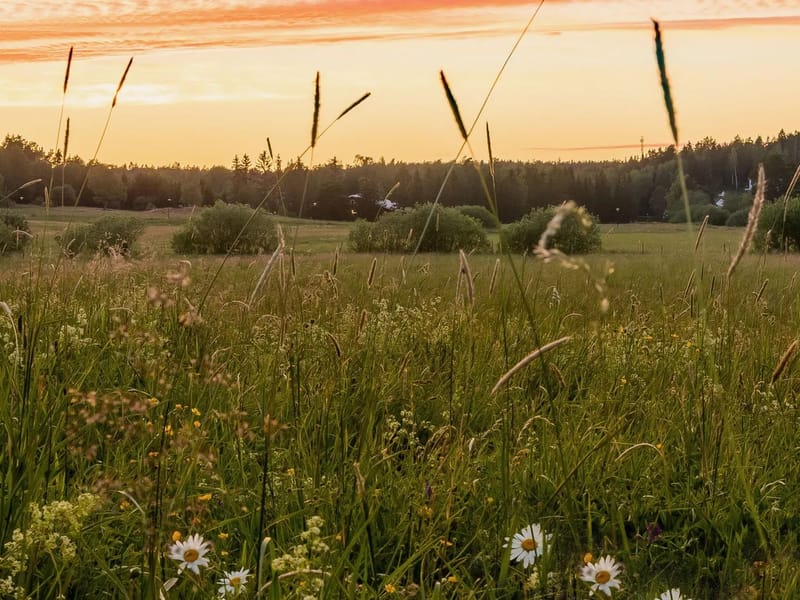 Rosendalsgården - Äldreboende in Huddinge, Stockholms län photo 1