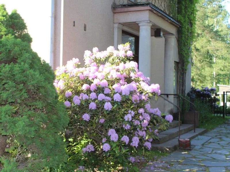 Kanervakoti in Espoo, Uusimaa photo 3