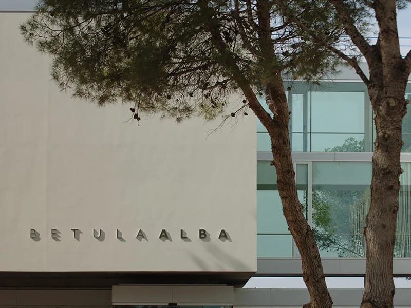 Centre de dia Betula Alba - Centro de Día in Almacelles, Cataluña photo 3