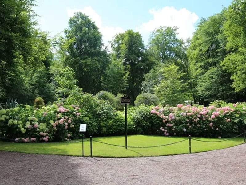 Solliden - Äldreboende in Lindesberg, Örebro län photo 1