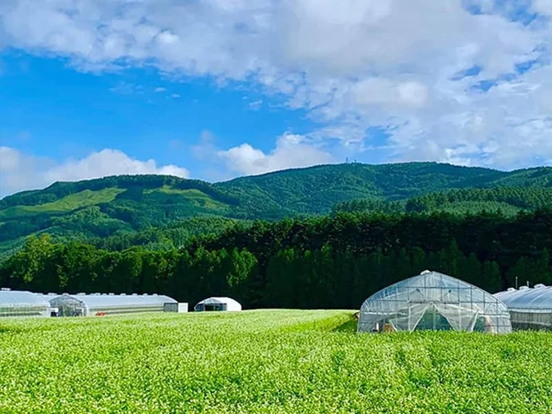 こころのホームふれない - 有料老人ホーム in 平取町, 北海道 photo 2