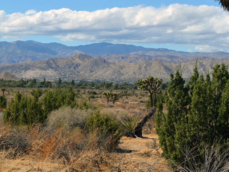 Aaspen Villagecare - Assisted Living in Yucca Valley, CA photo 1