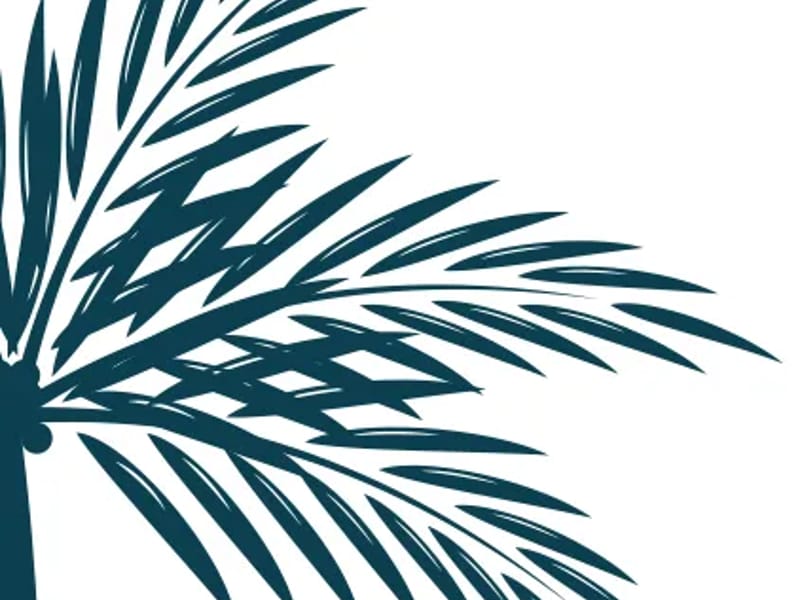 Blue Palms Health and Rehabilitation Center of Day - Nursing Home in Daytona Beach, FL photo 2