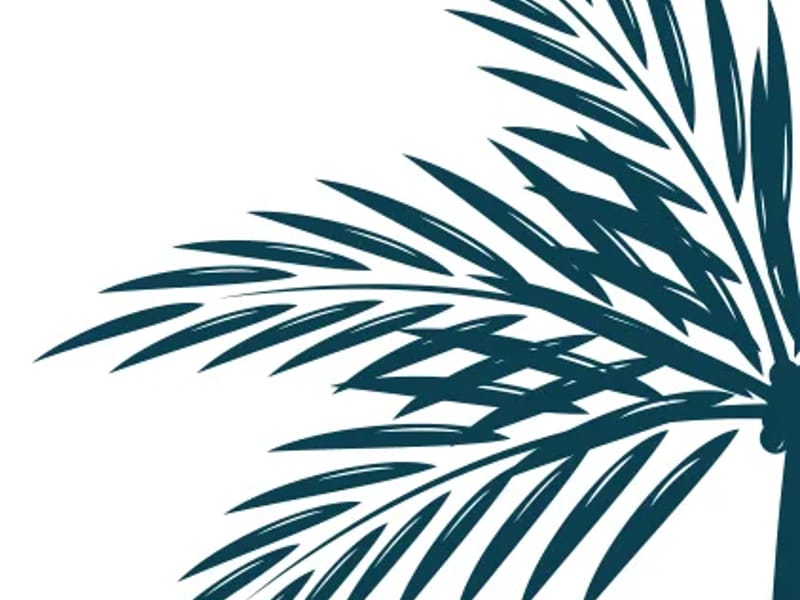 Blue Palms Health and Rehabilitation Center of Day - Nursing Home in Daytona Beach, FL photo 3