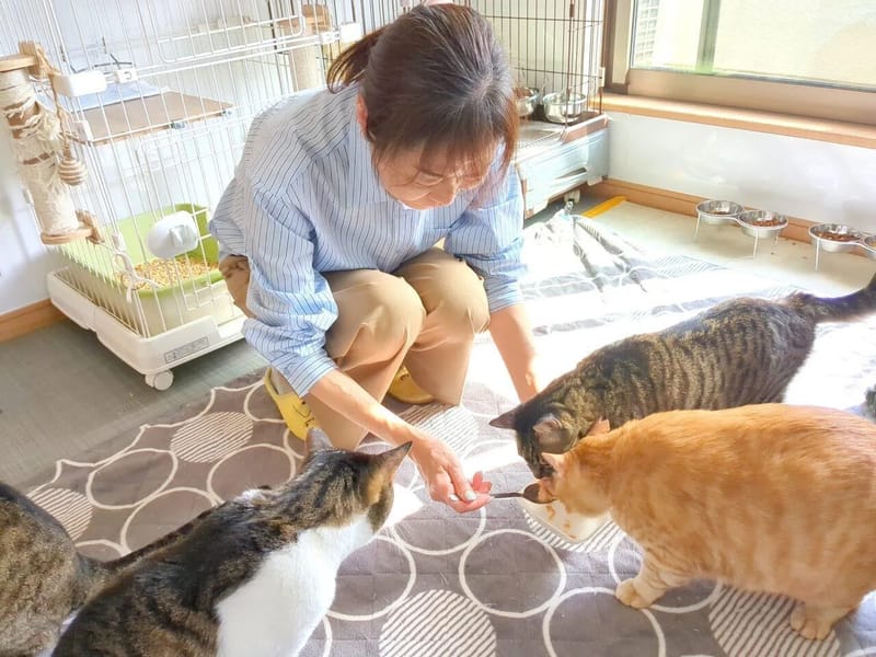 ねこの手居宅 - 有料老人ホーム in 日野市, 東京都 photo 1