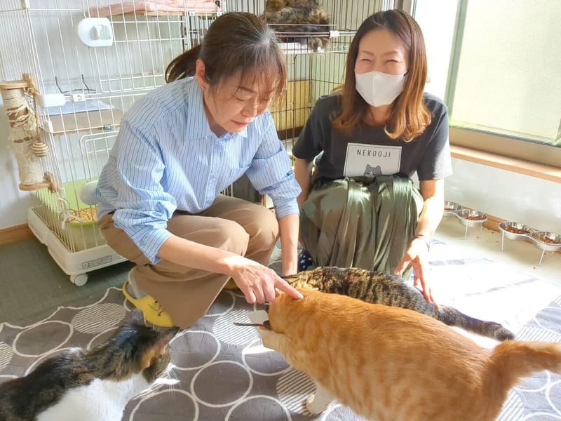 ねこの手居宅 - 有料老人ホーム in 日野市, 東京都 photo 2