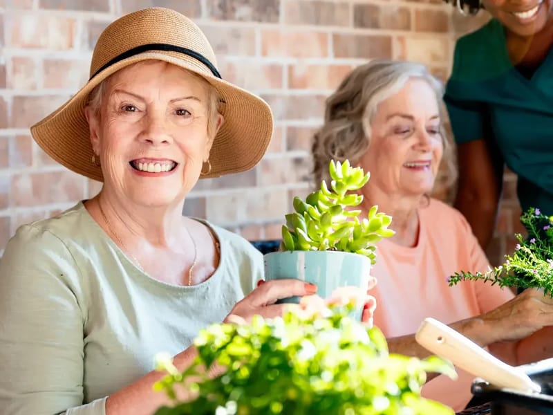 Avalon Home Care, INC. - Home Health Nursing in Sartell, MN photo 2