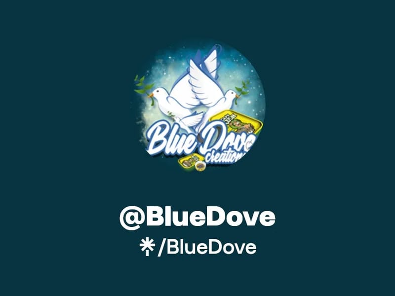 Bluedove Care Ltd - In-Home Care in Harlow, England photo 2