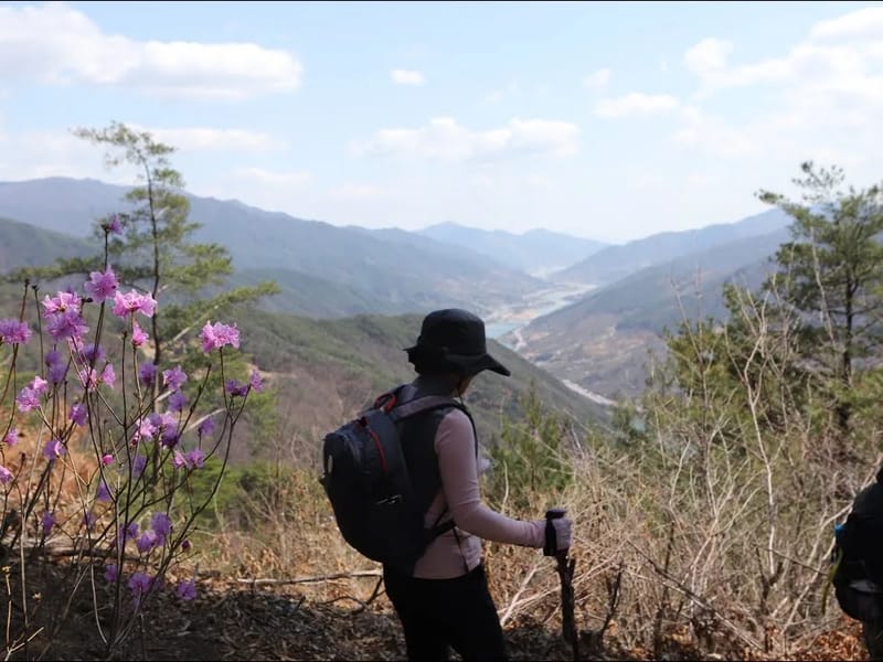 구례요양원 - 요양병원 in 구례군, 전라남도 photo 1