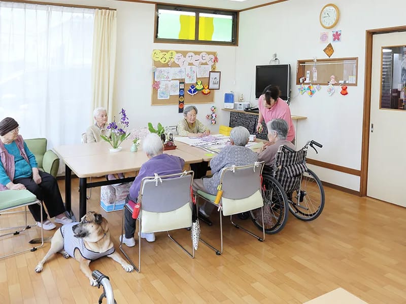 だるまファーマケア - 有料老人ホーム in さくら市, 栃木県 photo 3