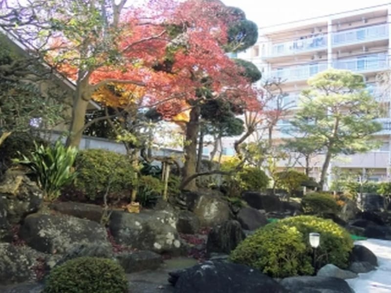 せらび芦花公園 - 有料老人ホーム in 世田谷区, 東京都 photo 2
