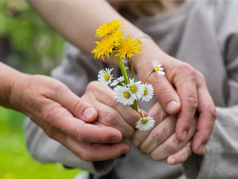 Olive Care in Nottingham, England photo 1
