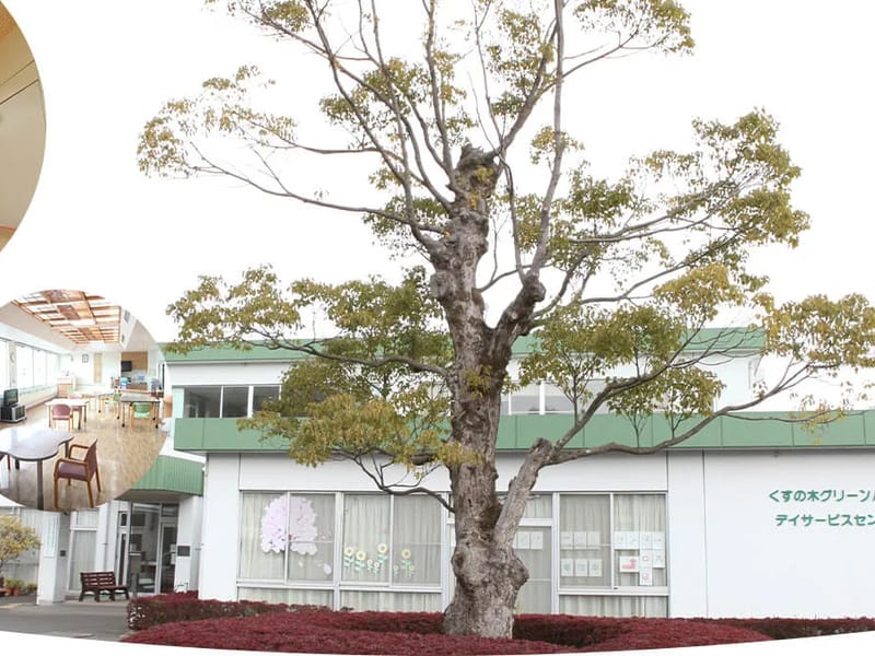 くすの木デイサービスセンター - デイサービス in 鹿児島市, 鹿児島県 photo 3