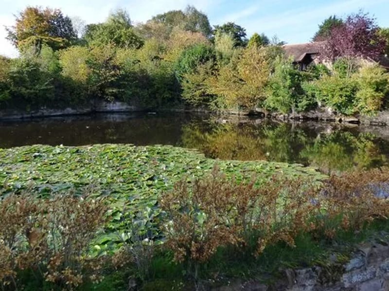 Kynaston Farm in Shrewsbury, England photo 4