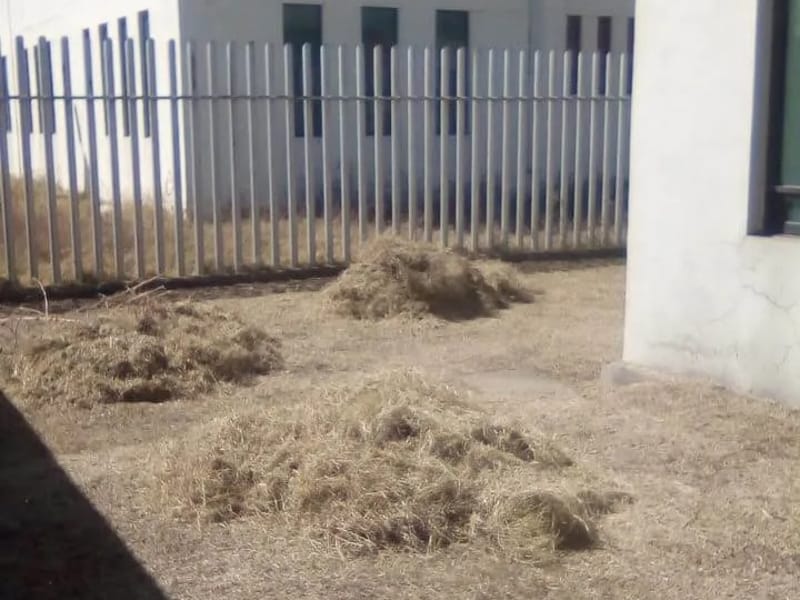 Casa De Apoyo Al Adulto Mayor - Vida Asistida in Ecatepec De Morelos, Estado de México photo 4