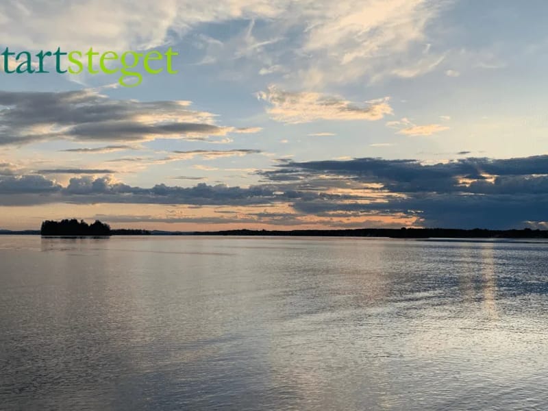 Västra hemtjänsten - Hemtjänst in Sandviken, Gävleborgs län photo 3
