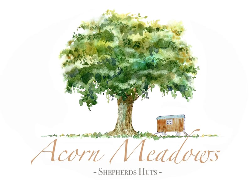 Acorn Meadow - Assisted Living in Northwich, England photo 2