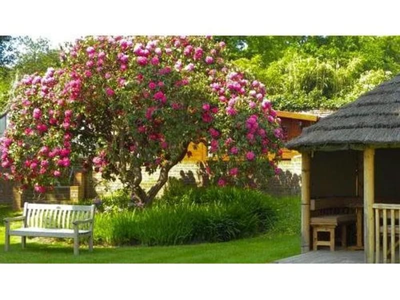The Grange Retirement Home - Assisted Living in Chertsey, England photo 3