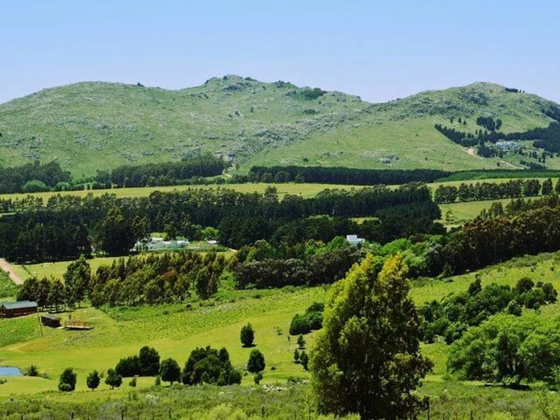 JONELL VILLAGE - Vida Asistida in TANDIL, BUENOS AIRES photo 3