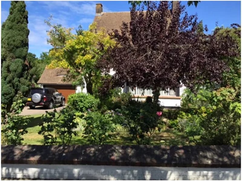 Carlene Home Care Services - In-Home Care in Purley, England photo 2