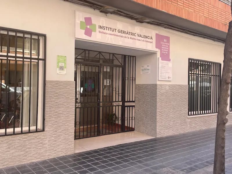 Instituto Geriátrico Valenciano - Hogar de Ancianos in Valencia, Comunitat Valenciana photo 2