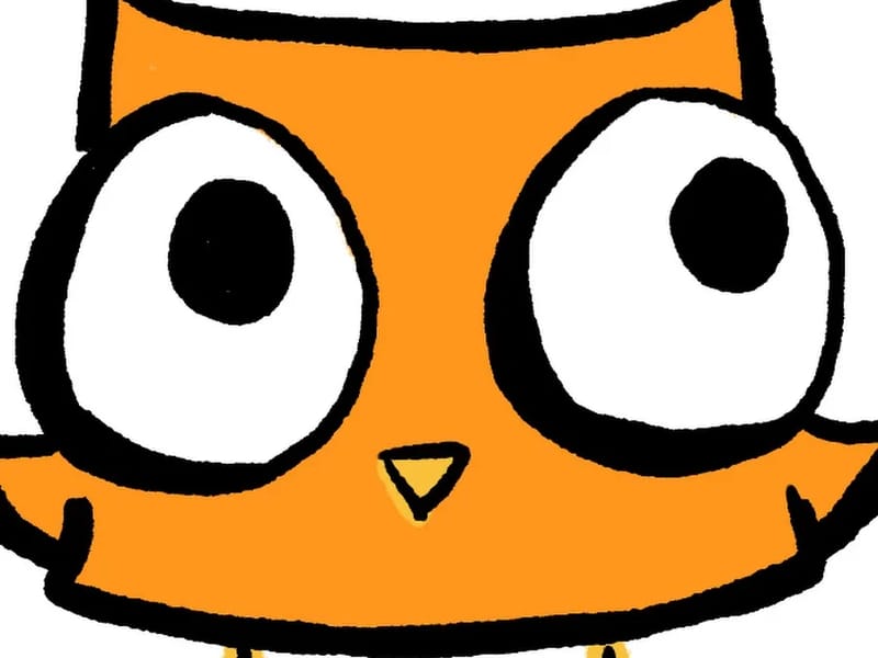 Owl Adventures LLC — Home Health Nursing, Hayti, MO · photo 2