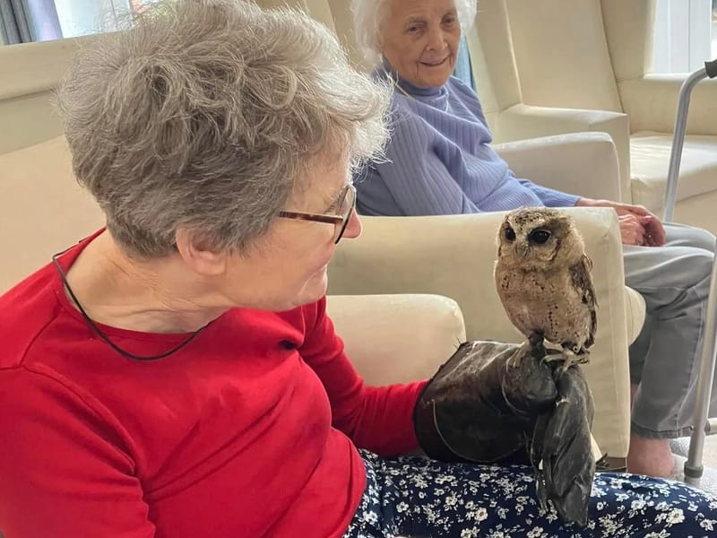 Owl Adventures LLC — Home Health Nursing, Hayti, MO · photo 4