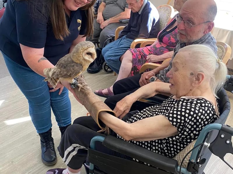 Owl Adventures LLC — Home Health Nursing, Hayti, MO · photo 3