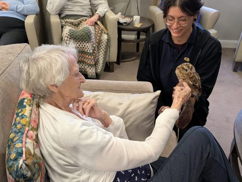 Owl Adventures LLC — Home Health Nursing, Hayti, MO · photo 5
