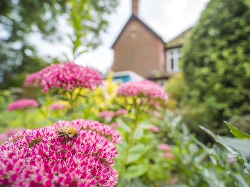 Avon Lee Lodge - Nursing Home in Christchurch, England photo 3
