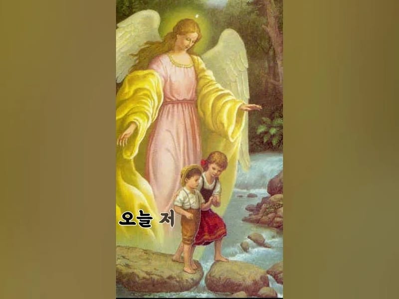 (주)수호천사 - 방문요양 in 파주시, 경기도 photo 1