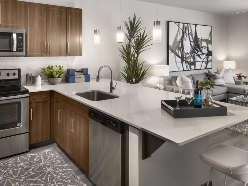Aviva Springs LLC - Home Health Nursing in Mesa, AZ photo 1