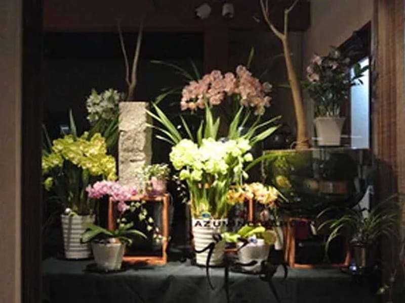 なでしこ - 有料老人ホーム in 安曇野市, 長野県 photo 3